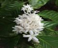 images/galeri/hijau/IMG-20251022-WA0052.jpg