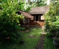 images/galeri/hijau/genjaharum-28.jpg